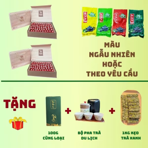 Trà Đinh Ngọc Mạn Nhu V.I.P