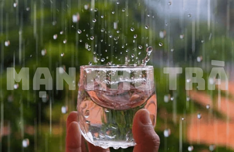 cách pha trà ngon trà xanh thái nguyên