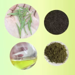 trà đinh ngọc mạn nhu vip limited giới hạn mạn nhu trà trà xanh thái nguyên