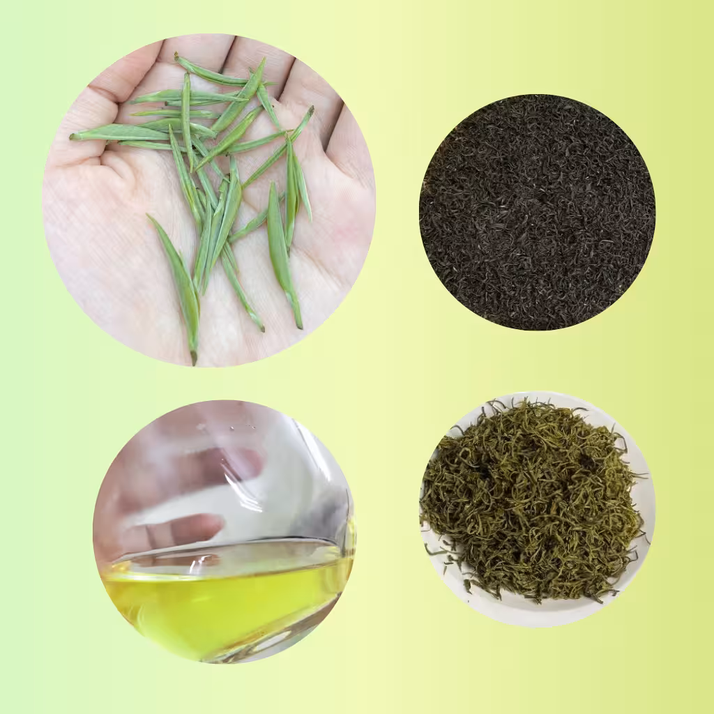 trà đinh ngọc mạn nhu vip limited giới hạn mạn nhu trà trà xanh thái nguyên