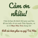 thanks mạn nhu trà trà xanh thái nguyên