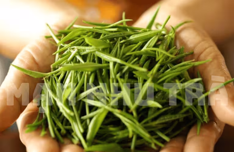 trà đinh ngọc mạn nhu đặc biệt là gì? trà xanh thái nguyên mạn nhu trà