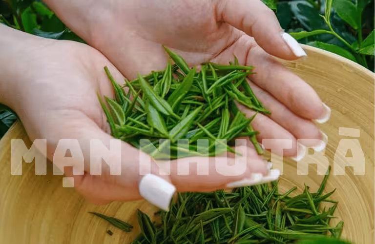 trà đinh ngọc cao cấp là gì? trà xanh thái nguyên mạn nhu trà
