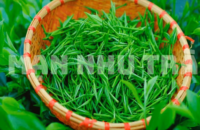 trà đinh ngọc là gì trà xanh thái nguyên mạn nhu trà