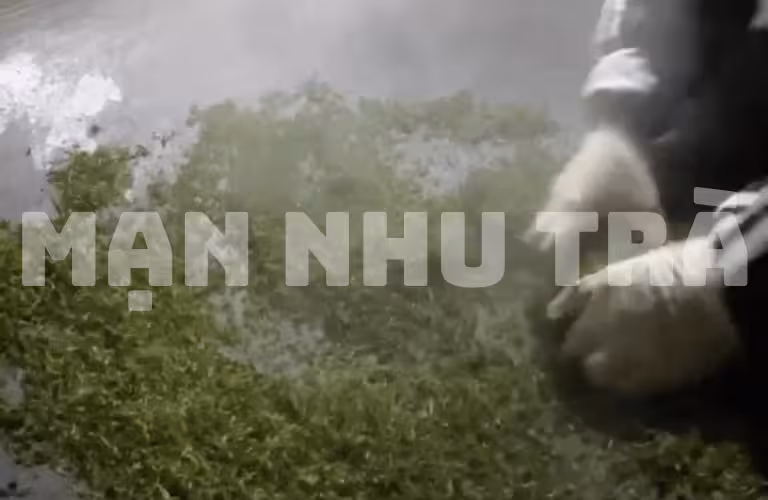 sao chè đinh ngọc mạn nhu vip giới hạn