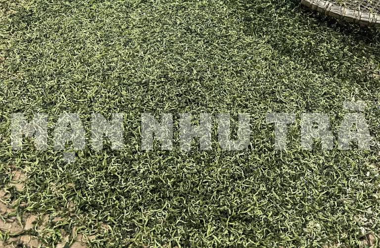 vò trà đinh ngọc mạn nhu vip giới hạn